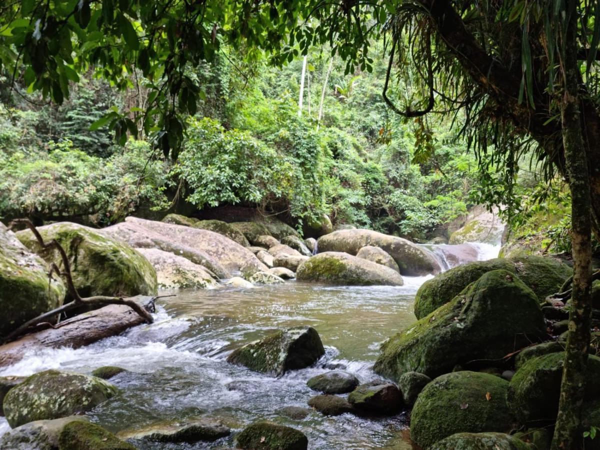 Recanto Da Margo 1, Casa Com Acesso A Cachoeira パラチ エクステリア 写真
