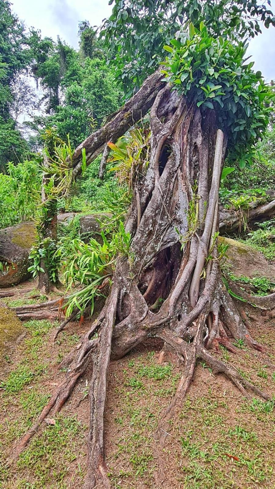 Recanto Da Margo 1, Casa Com Acesso A Cachoeira パラチ エクステリア 写真